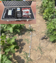 ECA-TR11土壤墒情快速测定仪