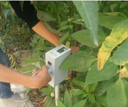 ECA-YL20土壤剪力测量仪