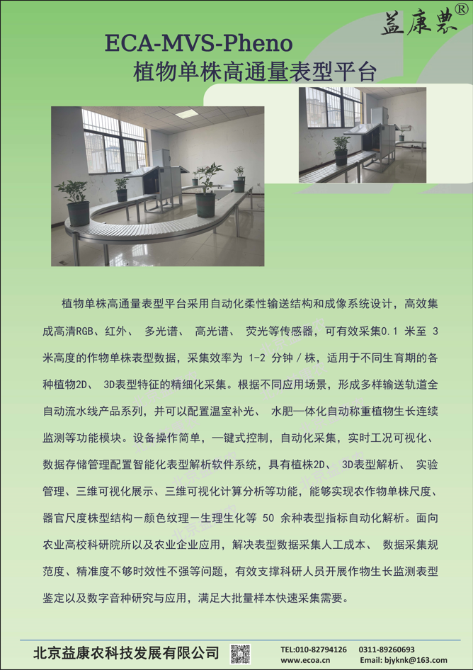 网站2.jpg