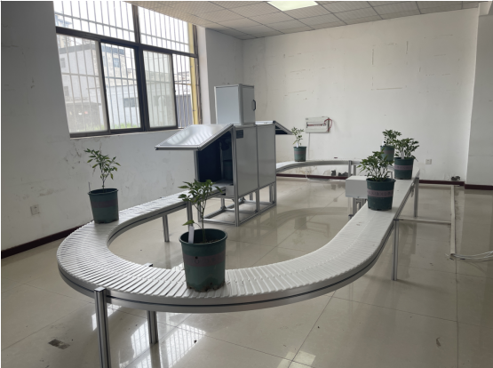植物单株高通量表型平台